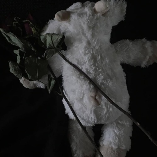 A Night, For The One Who Has Wilted [prod. by BLOOM]