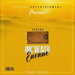 ZeepSa_Incwadi Encane(Prod.Kgaqas)