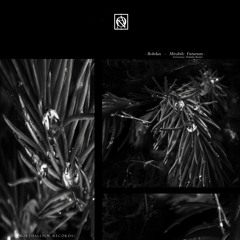 [NTS030] Bohdan - Mirabile Futurum EP Inc. Astronomy Domine Remix