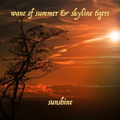 Sunshine (Wane of Summer & Skyline Tigers)