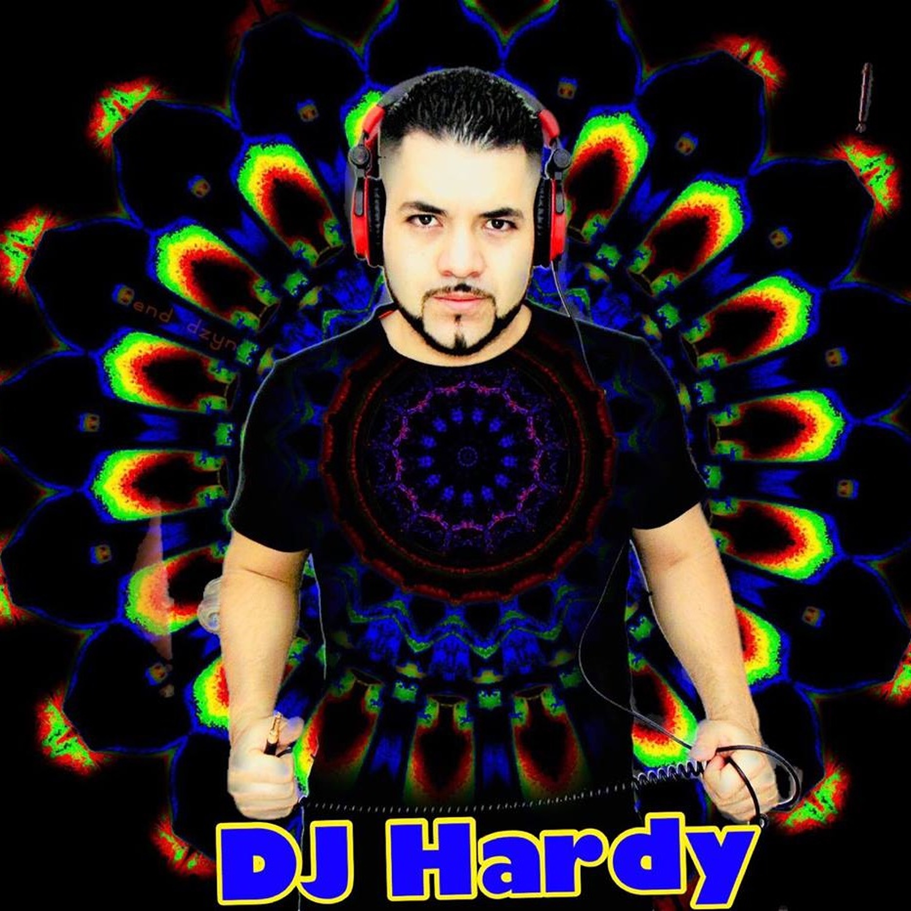 DJ Hardy