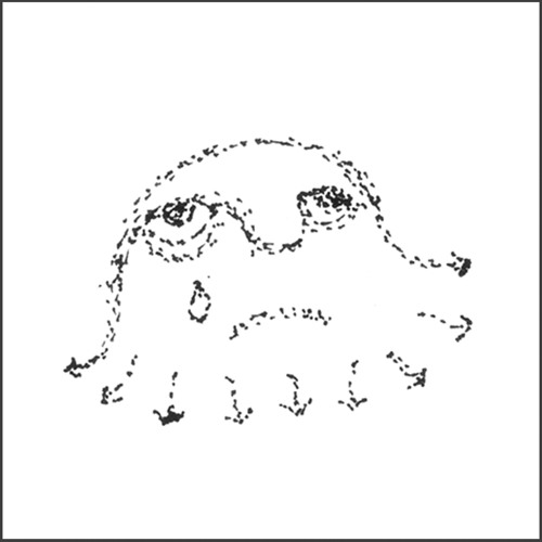 Where Do We Go From Here