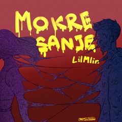 Mokre sanje