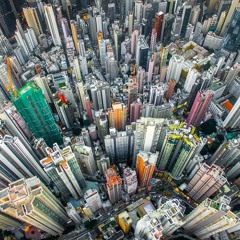 The Urban Jungle