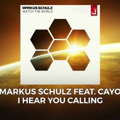 I Hear You Calling - Markus Schulz (Sean-Oh Edit)