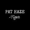 Tyga Ft Offset Taste Pat Haze Remix Tiger Mp3