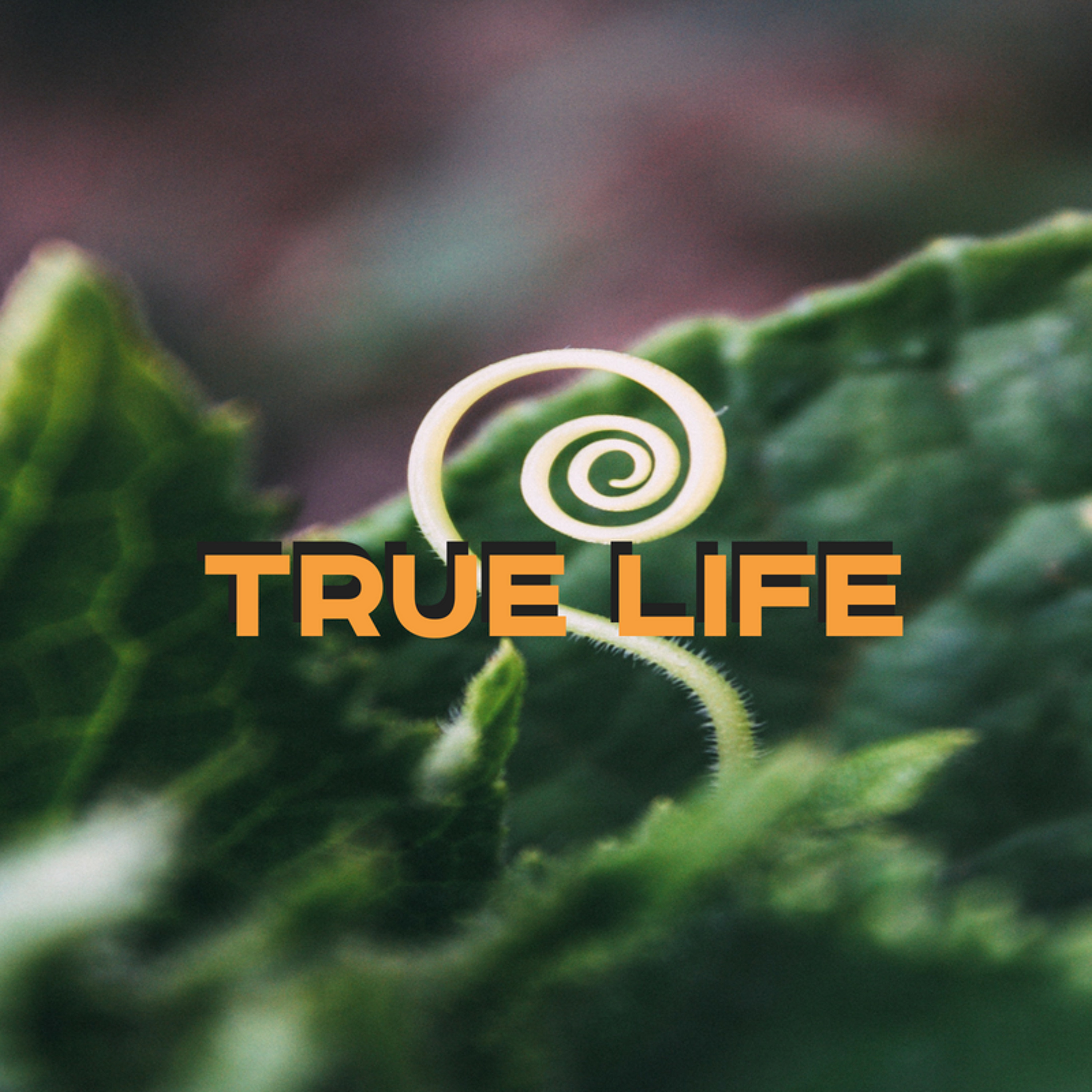 7-22-18p - Jeremiah Skiles - True Life episode artwork