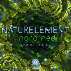 Naturelement - Feeling For Healing (Sygnals Remix)