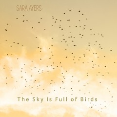 The Sky is Full of Birds