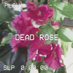 Dead Roses (Prod. RODGER)