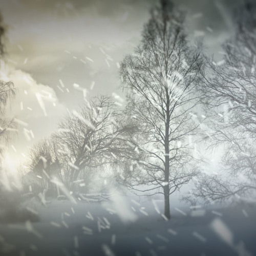 Arctic Blizzard (75 Minutes)
