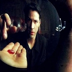 O Segredo da Criação