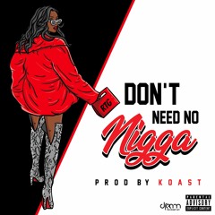 Don't Need No Nigga