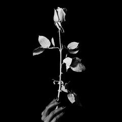 Feeling So Numb (Prod. TMRHN)