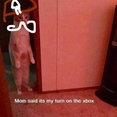 👌