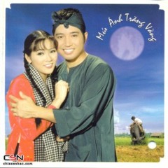 Dam Cuoi Tren Duong Que - Tuong Nguyen  [FLAC Lossless]