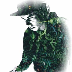 Welcome To The Jungle