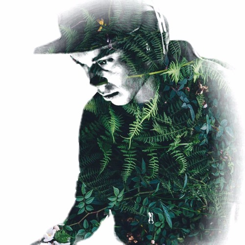 Welcome To The Jungle