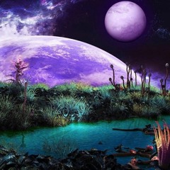 Searching For The Astral Wolf