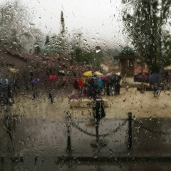 RainyDayz