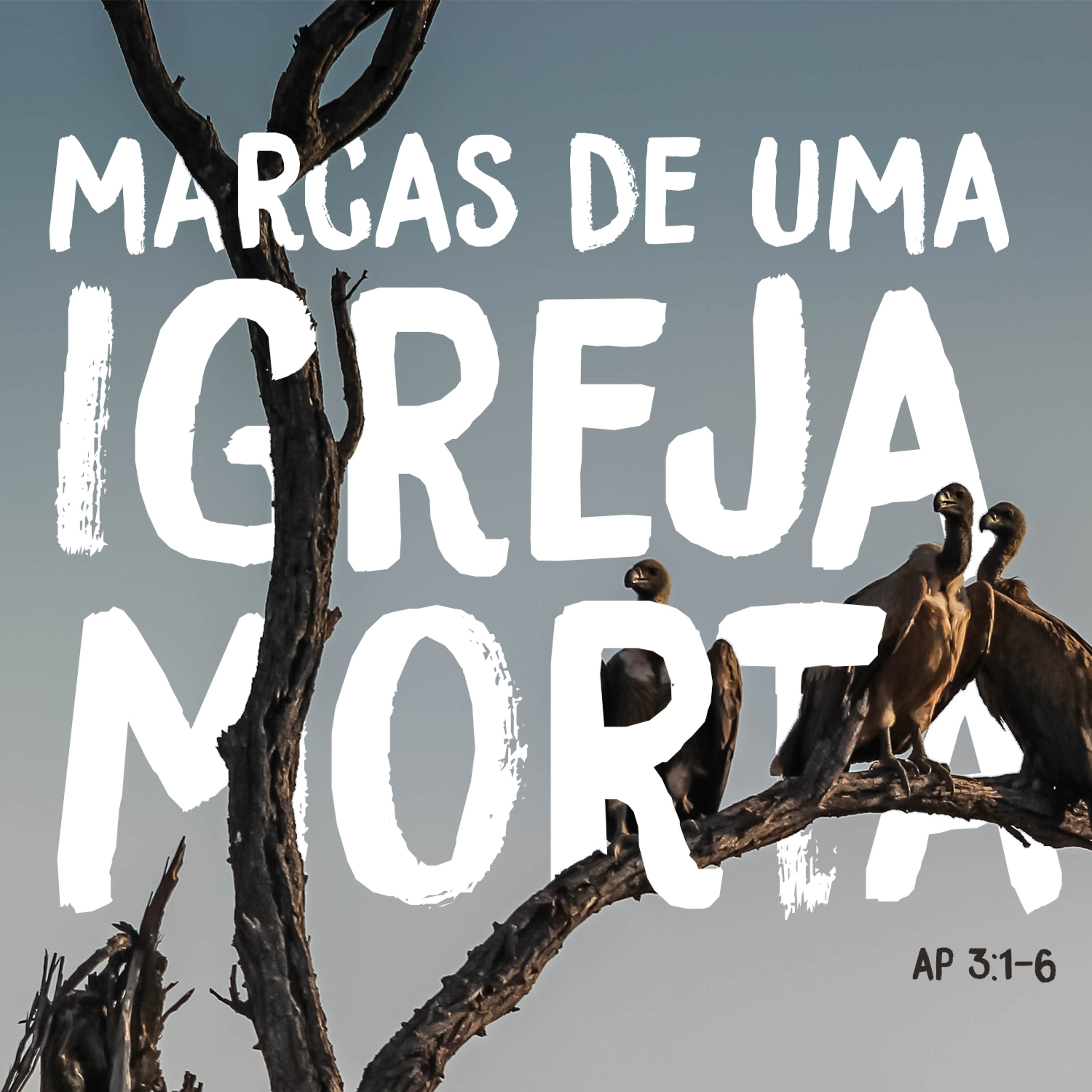 IBZonaSul