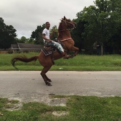 Trailride