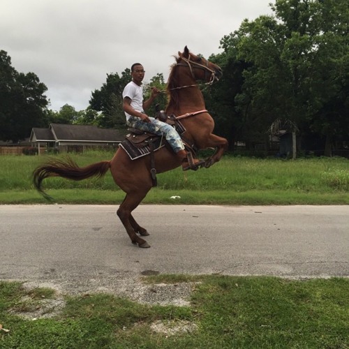 Trailride
