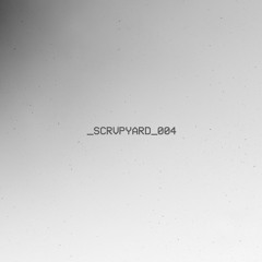 _scrvpyard_004 (live from Amplify SF)