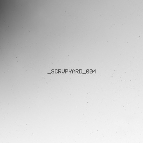 _scrvpyard_004 (live from Amplify SF)