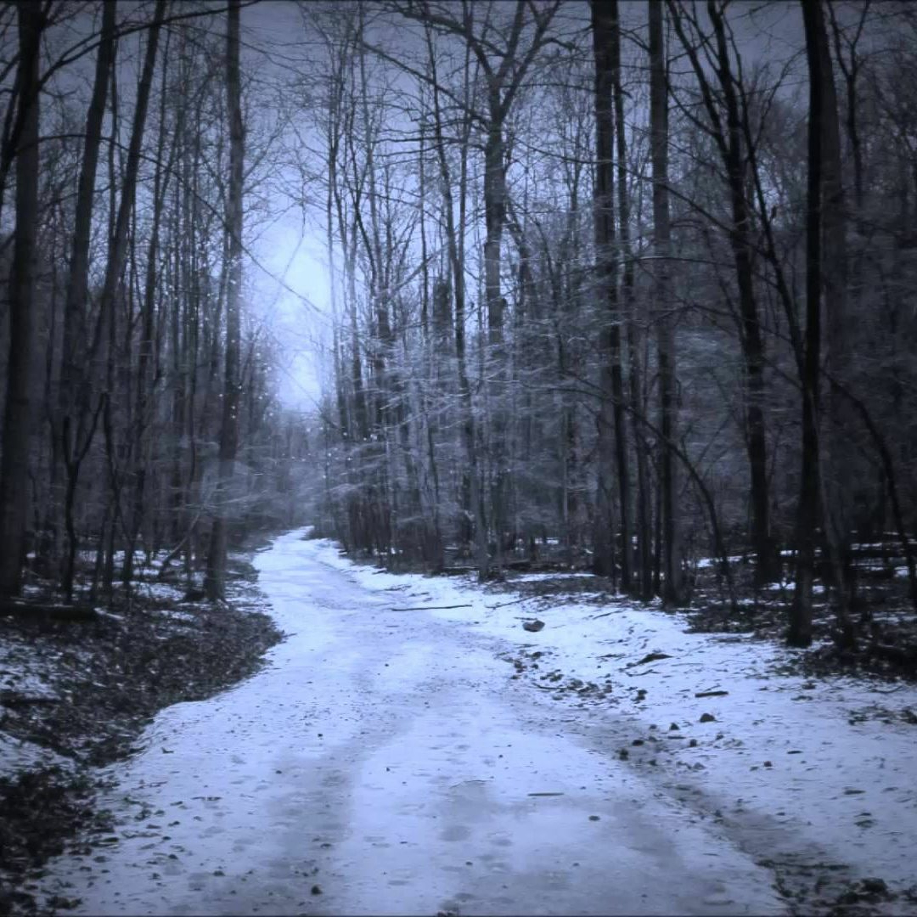 Long Road Home episode artwork