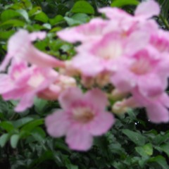 Interludio 2 (part of Poesia Viva) for Shapiro Fund Commission