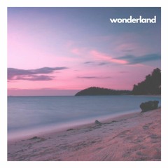 wonderland ( guitar by Nik Davies )