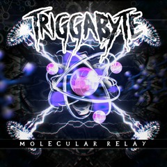Triggabyte - Molecular Relay (Original Mix)