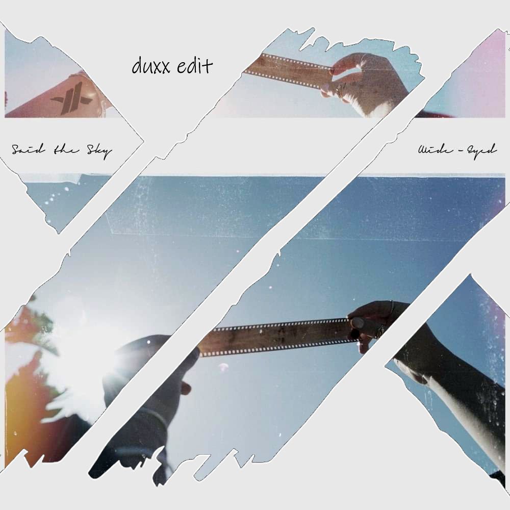 Said The Sky & Kerli – Never Gone (Duxx Edit)