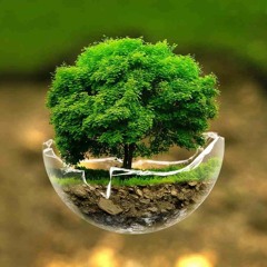 The Tree of Faith