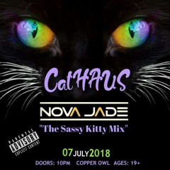 Cathaus Sassy Kitty Mix