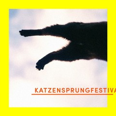 SOMETHING WITH KATZEN || Dübl & Maes || Katzensprungfestival 2018