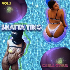 Shatta Ting