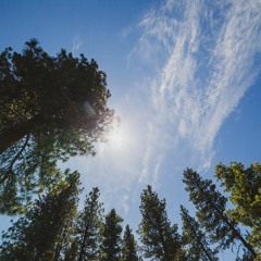 Ambient Mix Summer 2018