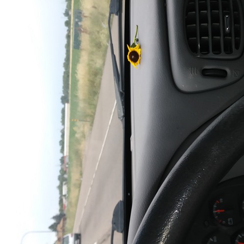 Yxng Splash - ⤵YOU HOLD ME DOWN ⤵(prod.reptilian