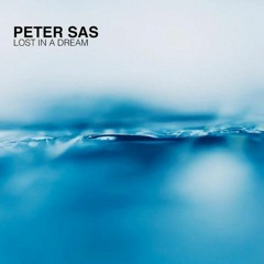 Lost in a Dream