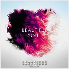 Beautiful Soul (LEVYTICUS Mashup) - DeScribe, Matisyahu, Zedd