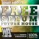 FREE Serum Future House | 36 Xfer Serum Presets thumbnail