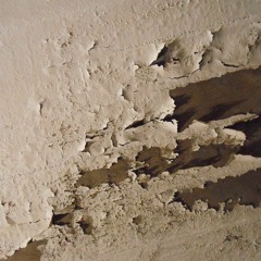 Some Nerve - Loose Lips Sink Ships