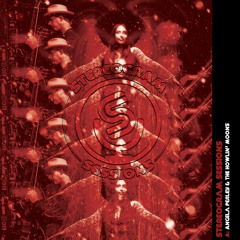 Angela Perley & The Howlin' Moons- Your Love (Stereogram Sessions)