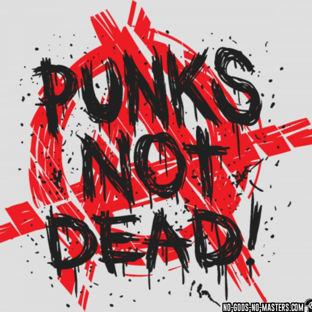 Панкс нот дед. Punk not dead картинки. Панк надписи. Я не панк мем. Плакат панки не мертвы.