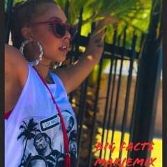 Big Facts MoneyBaggYO - MaRieMix X The Marie Effect