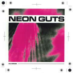 NEON GUTS (FREESTYLE) - VIC MENSA