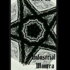 Industrial Mantra - Shit DJ