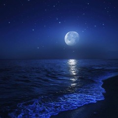 Martini on Night Beach